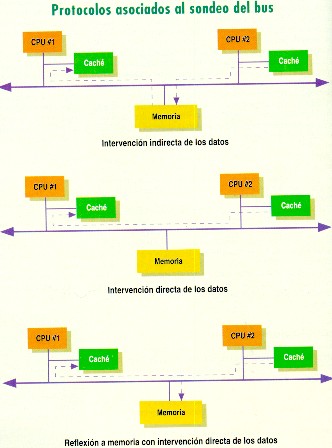 Protocolos de sondeo del bus